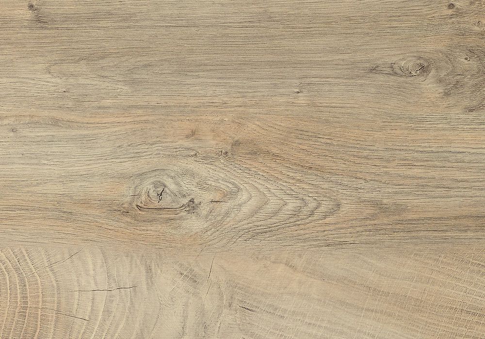 Décor loupe de chêne